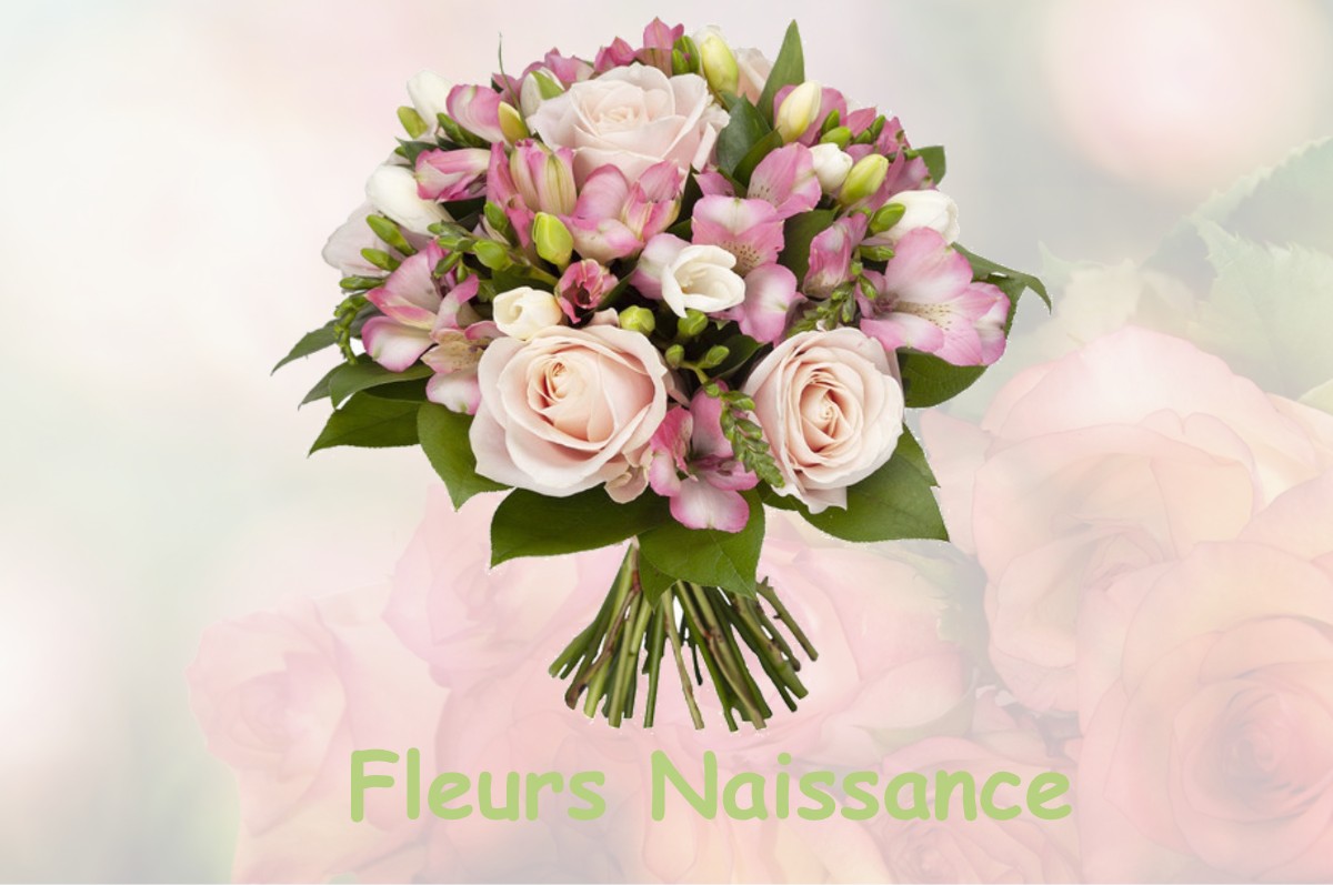 fleurs naissance NANCY-SUR-CLUSES