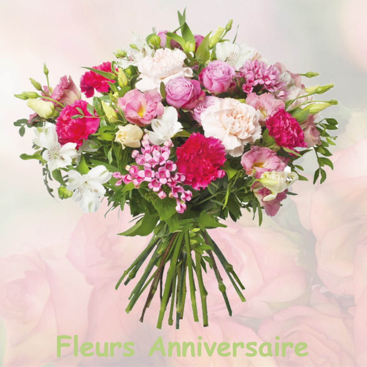 fleurs anniversaire NANCY-SUR-CLUSES